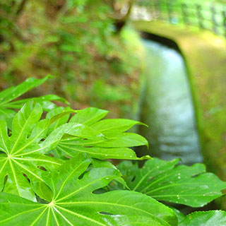 伊豆天城湯ヶ島温泉 白壁