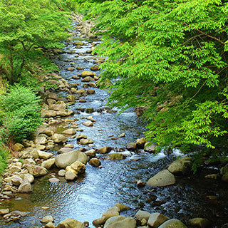 伊豆天城湯ヶ島温泉 白壁
