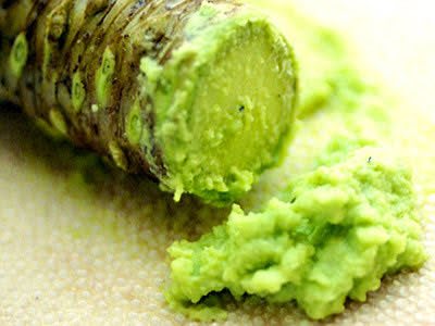 Amagi wasabi freshly grated beside the rhizome, served with dinner at Shirakabe