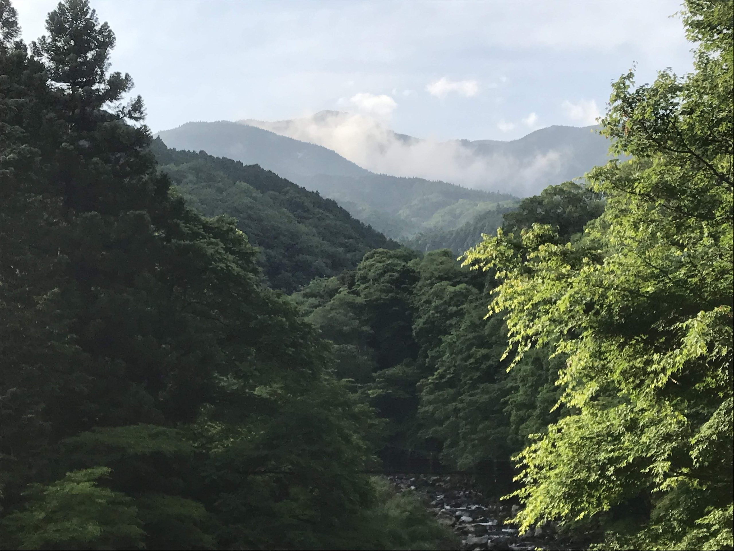 The wooded gorge below Shirakabe, cloud lifting off the Amagi ridge above the river