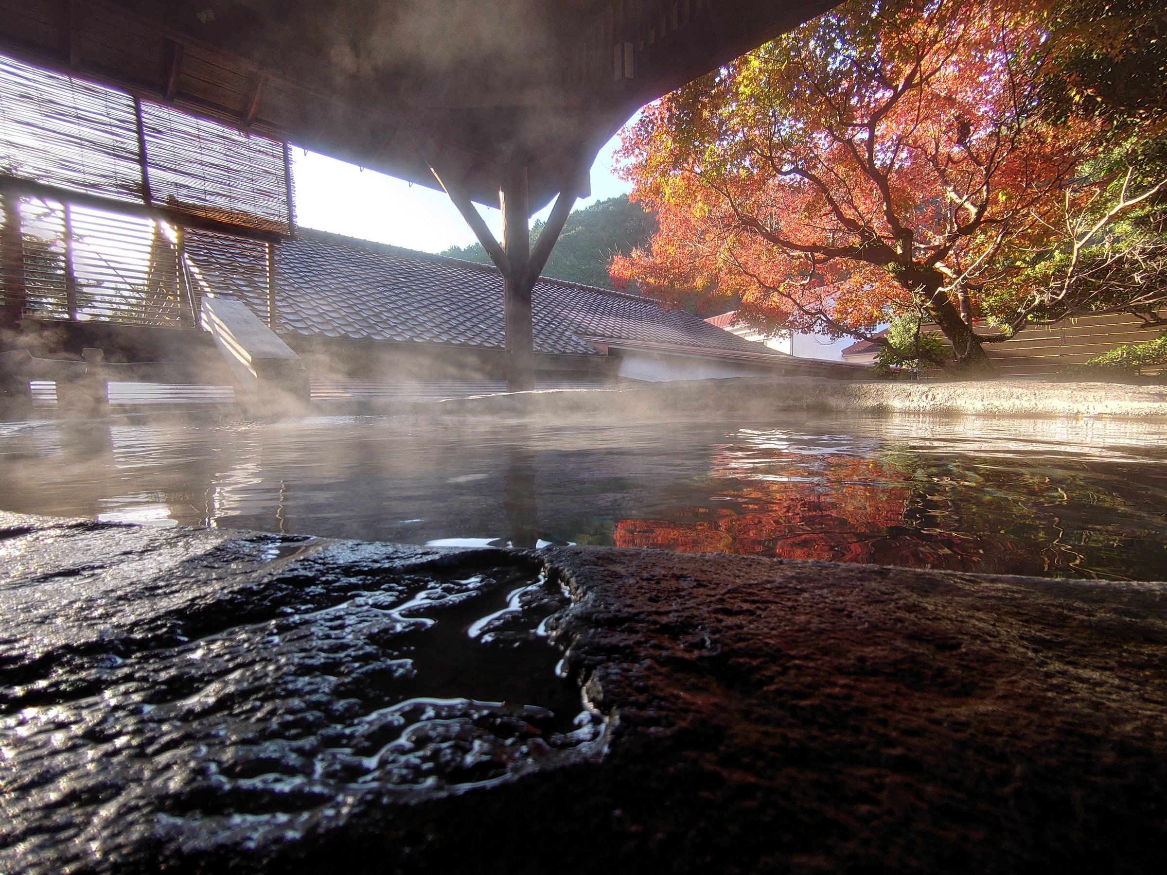 Steam lifting off the open-air spring bath at Shirakabe, a maple in full autumn colour above the tiled roof